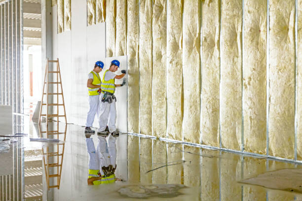 Best Spray Foam Insulation  in Green Valley, SD